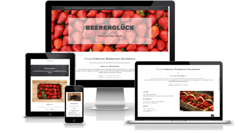 Onepager beerenglück by rechnerherz